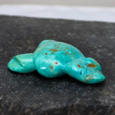Turquoise Frog